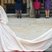Image 10: kate middleton at the royal wedding