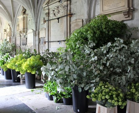 Flowers in the Abbey