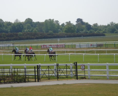 Tom, Lynsey & Jack visited Lingfield Park. The Hea