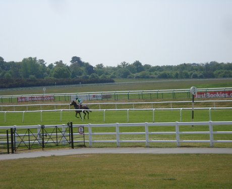 Tom, Lynsey & Jack visited Lingfield Park. The Hea