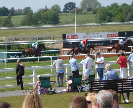Tom, Lynsey & Jack visited Lingfield Park. The Hea