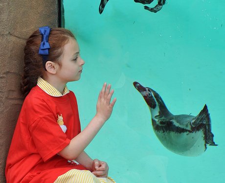 london zoo