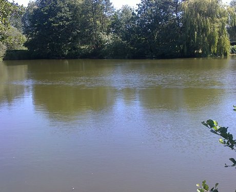 No alligators here. I think we should give up the hunt for the day.....