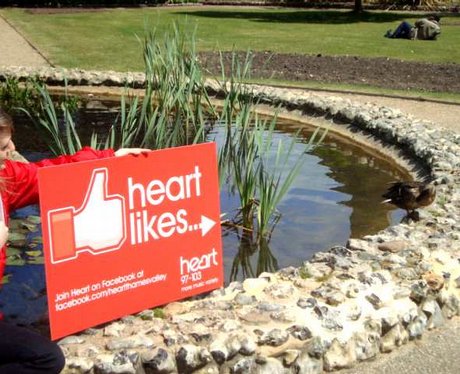 Heart 'Likes'...
