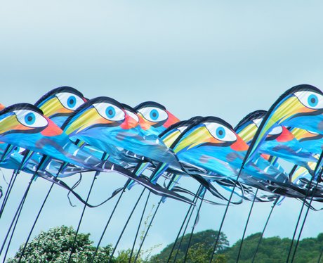 The Angels spent the day playing with Kites at the