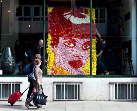 lily allen florists portrait