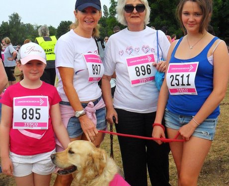 Welwyn Hatfield Race for Life