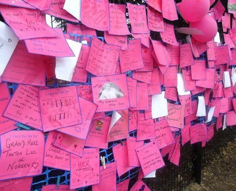 Welwyn Hatfield Race for Life