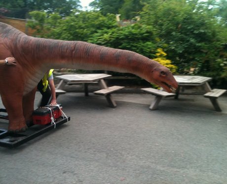 Dinosaurs at Chester Zoo.