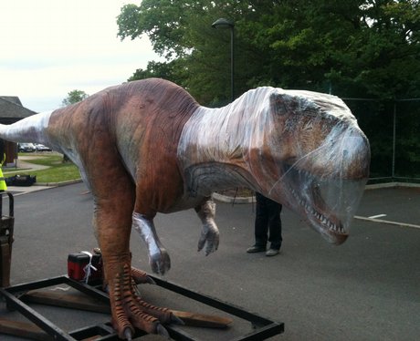 Dinosaurs at Chester Zoo.