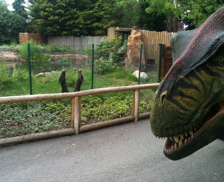 Chester Zoo Dinosaurs