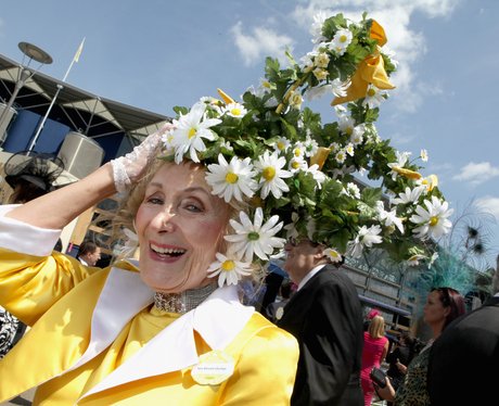 ascot fashion
