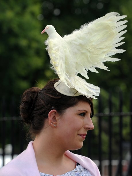 ascot fashion
