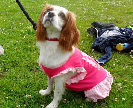 Race for Life Northampton 10K