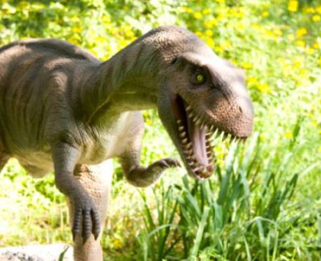 Dinosaur
