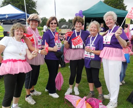 Race for Life in St Albans