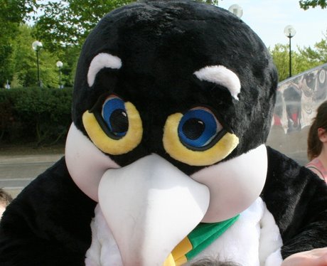 Mr Popper Penguins Red Carpet Premier MK