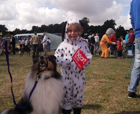 Essex Dog Day