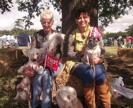 Essex Dog Day