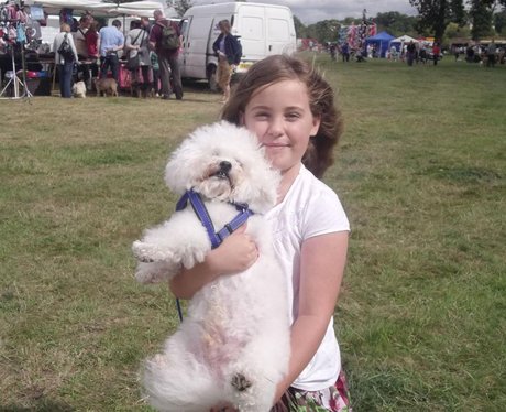 Essex Dog Day