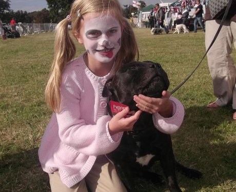 Essex Dog Day