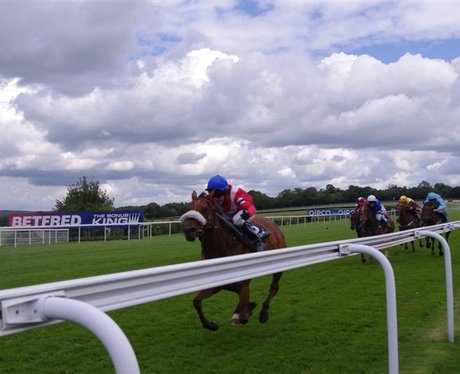Family Fun Days at Goodwood