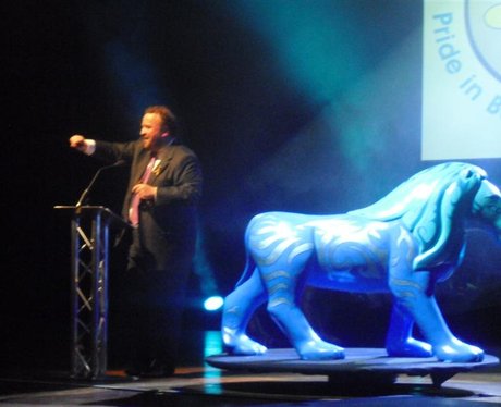 Bournemouth Lion Pride- The Auction