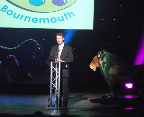 Bournemouth Lion Pride- The Auction