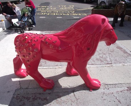 Bournemouth Lion Pride Part One