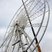 Image 5: Brighton Wheel, 170ft-high seafront ferris wheel