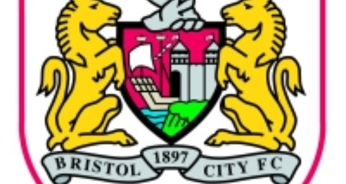 Bristol City Football Club