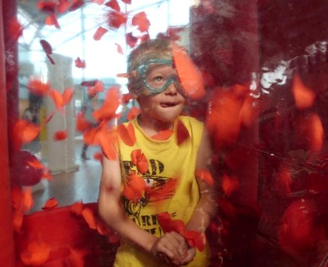 Heart Angels Winning Whirlwind