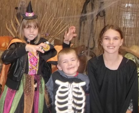Colchester Zoo