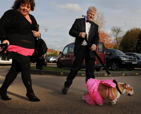 Essex Fashion Week