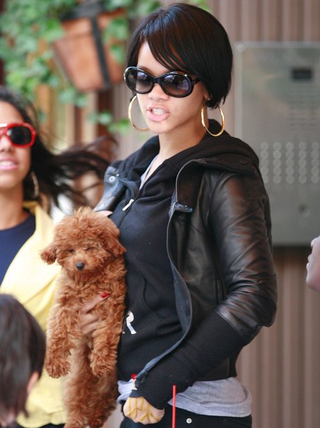 Rihanna's dog has only just got out of Ƅed and is forced to pose for the  paps. It's a... - Heart