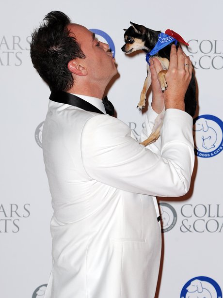 Collars & Coats Ball
