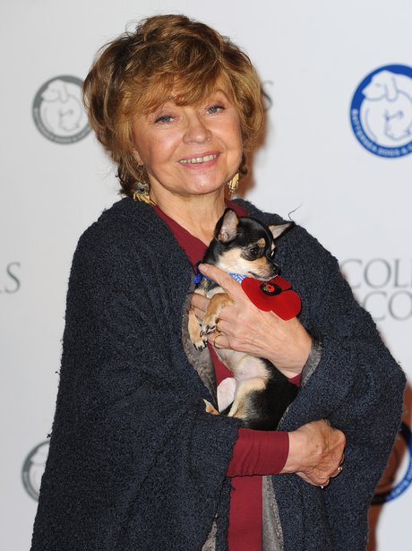 Collars & Coats Ball