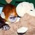 Image 7: Baby monkey at London Zoo