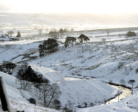 Christmas gallery