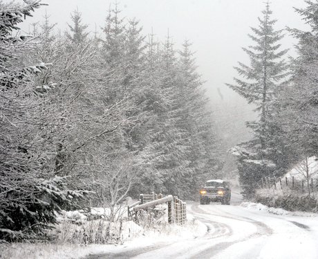 winter wonderland
