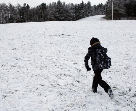 winter wonderland
