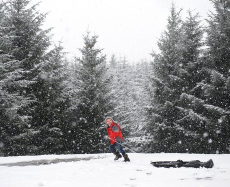 winter wonderland