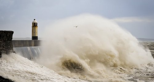 Winter Wind