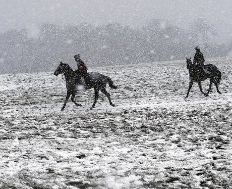 winter wonderland