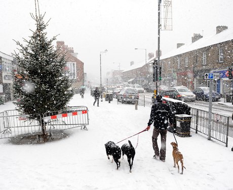 Winter Wonderland