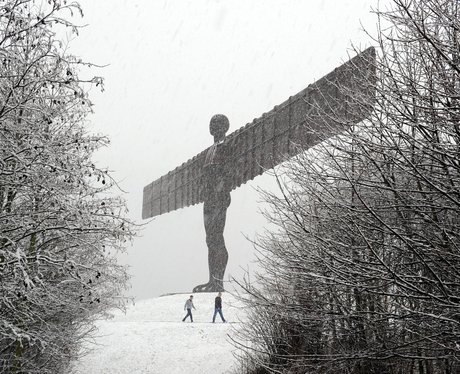 Winter Wonderland