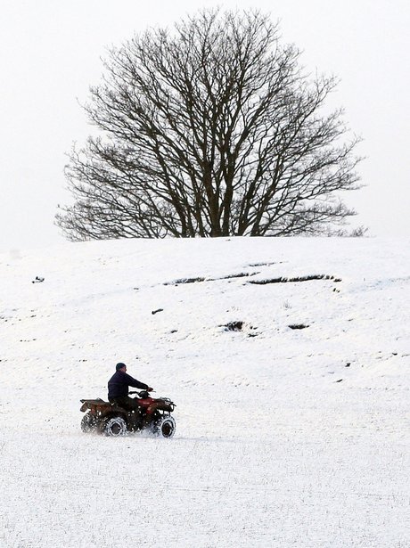 winter wonderland