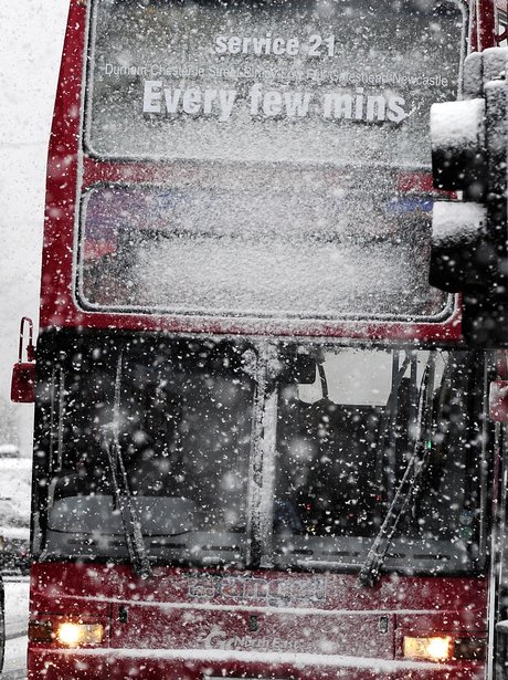 Winter Wonderland