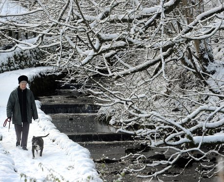 winter wonderland