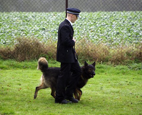 essex police dogs graduation heart